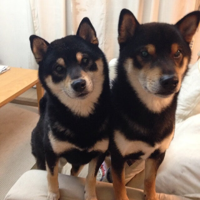 开云·体育官网-中国足球国际比赛评估体系逐步完善,提升竞技水平,足球国家级比赛